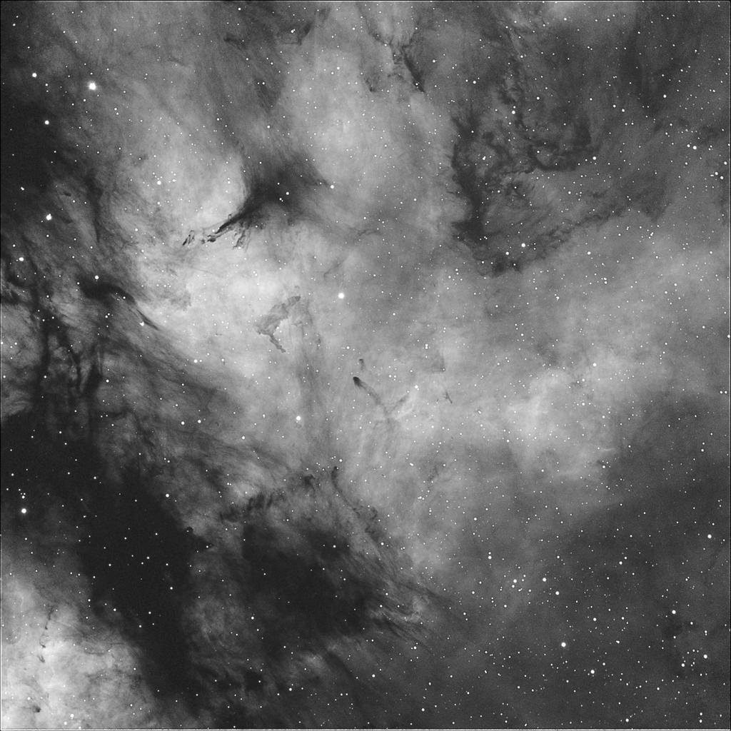 IC1318 in Cygnus taken with Edge HD 11 on CGE Pro