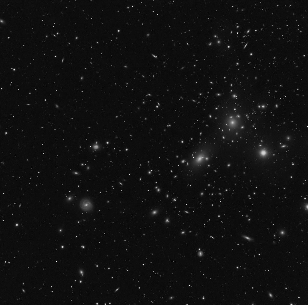 Coma Cluster taken with Edge HD 11 on CGE Pro