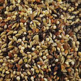 GOLDFINCH This Finch specialty mix has a special blend of