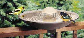 every day: Brush or wipe it clean and rinse, then refill the birdbath with fresh water.