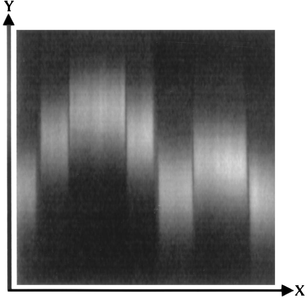 Fig. 4. Experimentally acquired raw CCD image from the CSCM applied to a four-phase-level diffractive element sample.