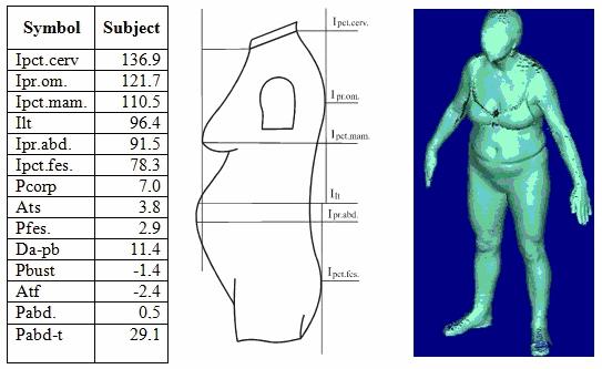 62 Emilia Filipescu, Elena Spinachi and Sabina Olaru Fig. 3 Visualization of the body by drawing and scanning. 3.2. Simulation in Virtual 3D Cyberspace Transposing flat forms of clothing patterns