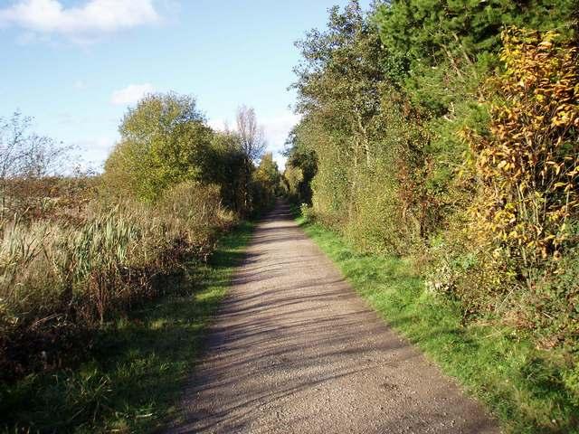To the right the path overlooks plantation woodland with some patches of more mature trees and grassland.