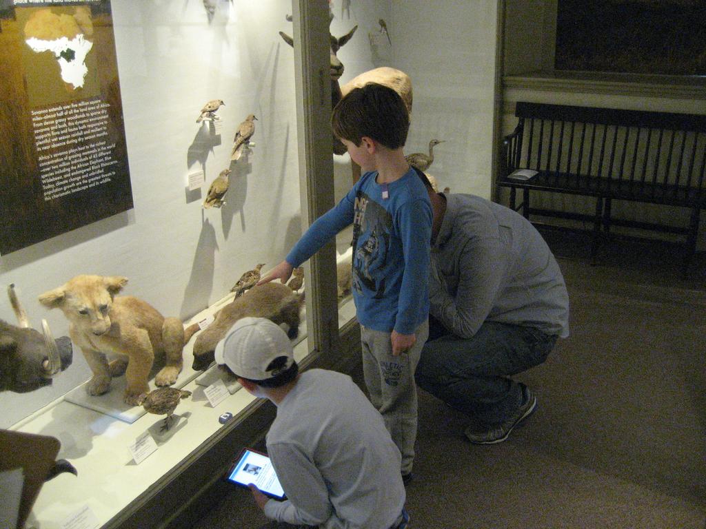 Figure 5-6: Players lean in to closely examine animals conducted a focus group with the families after each run.