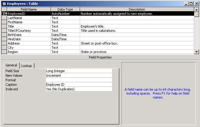 Fig. 1.3 Fereastra de proiectare (modificare) a tabelului Employees (MS Access).