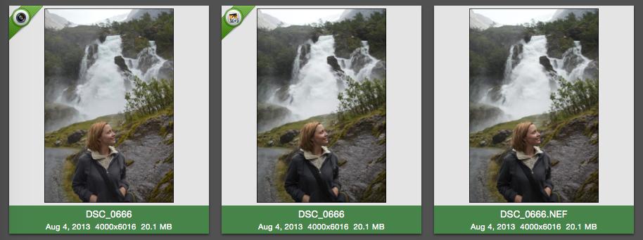 In the browser photos from libraries are indicated with a green ribbon at the top-left corner.
