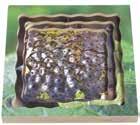 MP1524 524 Frog Life Cycle Layered Puzzle 31 Wooden layer puzzle.
