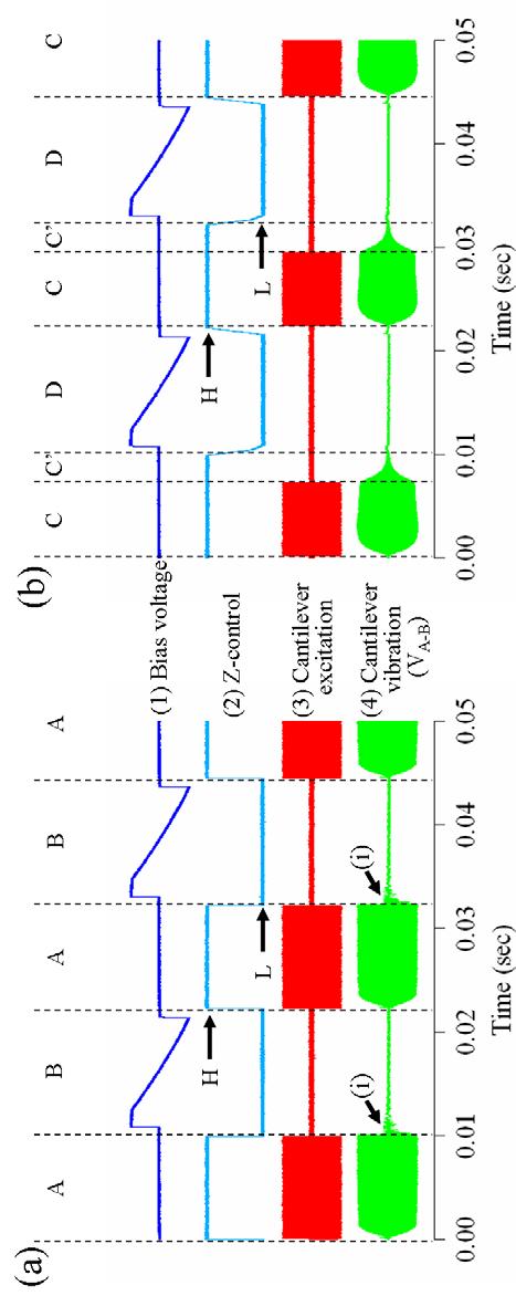 Fig. 3 Timing chart of Z-control, cantilever excitation and cantilever vibration (V A-B )