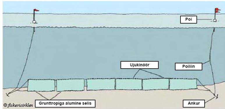 708 Joonis 8.49 Tursapüügiks kasutatava tüüpilise nakkevõrgu näide (1) Põhjatraalimine ehk põhjalähedane traalimine toimub koonusekujulist võrku merepõhja kohal vedades.