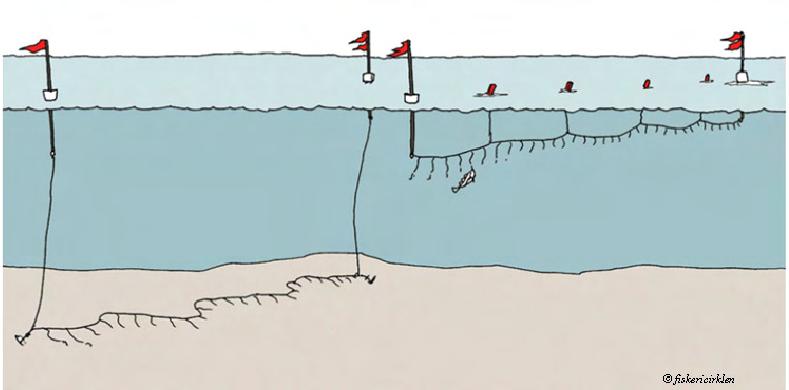 711 Rannikuvetes teostatakse kalapüüki põhiliselt lõksnootadega (mõrd), seisevnootadega (kastmõrd) ja põhjatraalidega. Avamerel püütakse lõhet õngejadadega (Joonis 8.