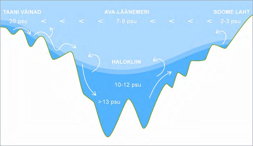 477 Joonis 8.11 Soolsuse gradient Läänemerel (1) Halokliini sügavus varieerub vesikonniti, sõltudes vesikondade vaheliste künniste tasemest. Vesikondade halokliini sügavused leiate Tabelist 8.5.