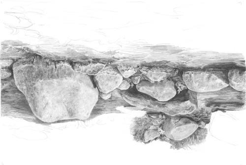 Here is my completed rock study Diane Wright