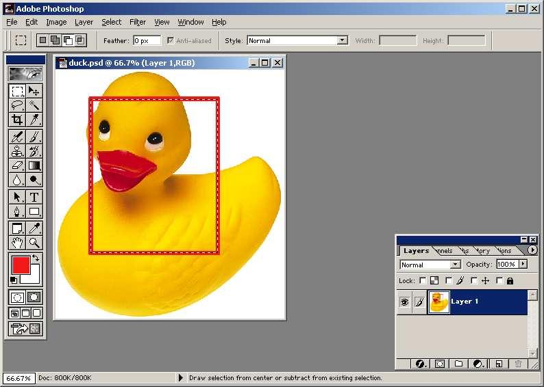 8. Giving borders and feather Stroke in Edit* creates a colored border around