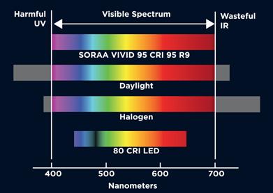 ABOUT THE SORAA VIVID 9.5W 95CRI LAMP Perfect Spectrum Light What do we mean by perfect spectrum in man-made light sources? Most of us think of daylight when we think of the perfect light source.