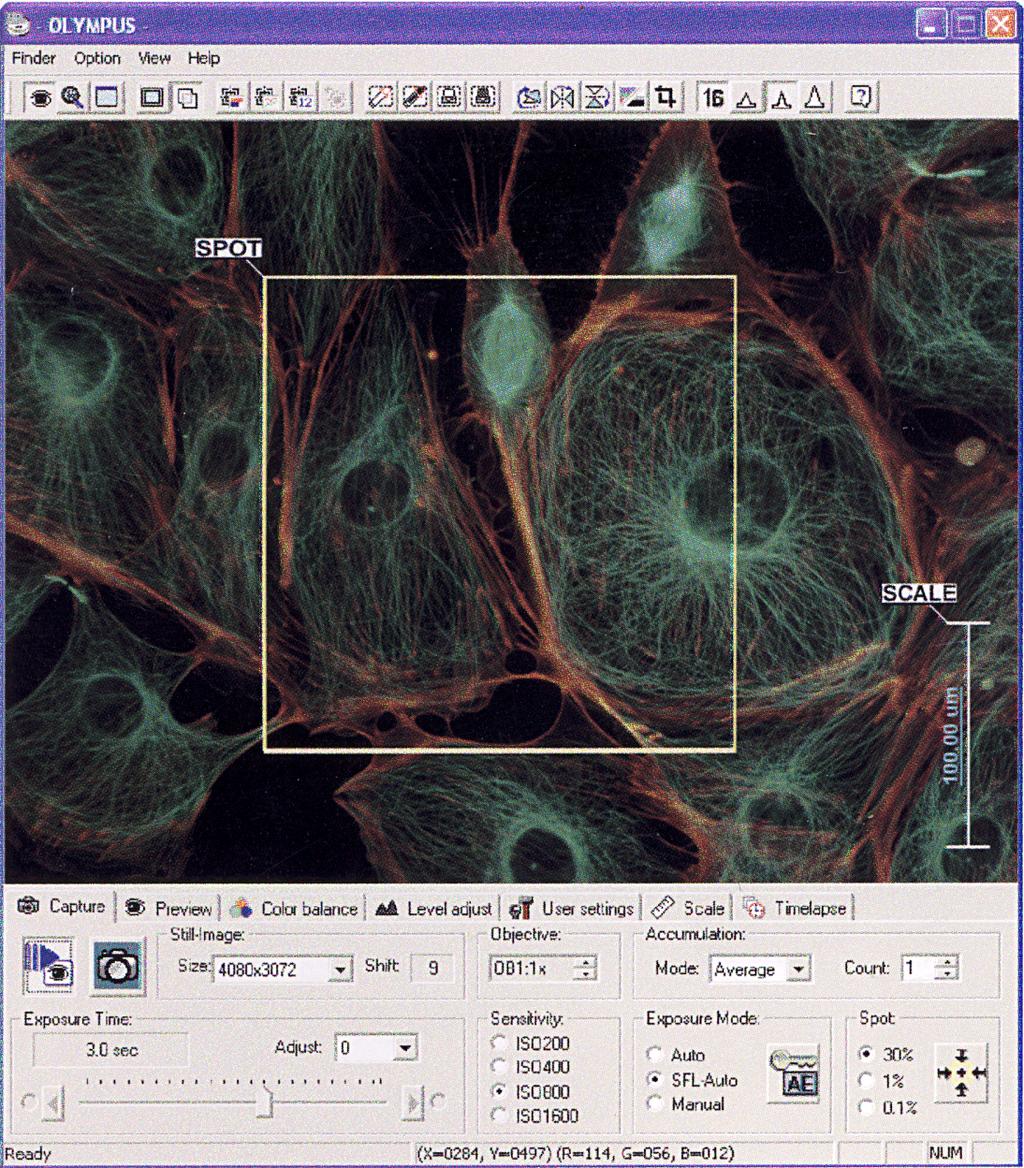 Retrieve an Image Microscope Setup - If using a compound microscope: - Turn microscope ON - Find specimen on slide using the microscope and change objective if needed - Set Köhler illumination to