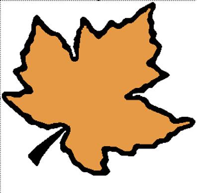 7. The Draw Package opens with the Maple Leaf image in the work area on the screen.