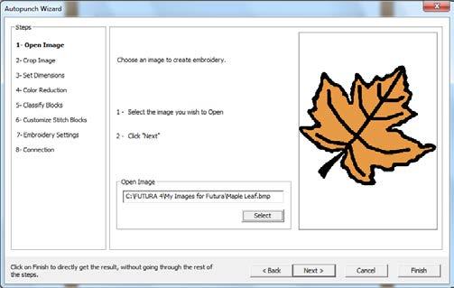 9. Digitizing the Leaf: Select the AutoPunch icon from the main tool bar.