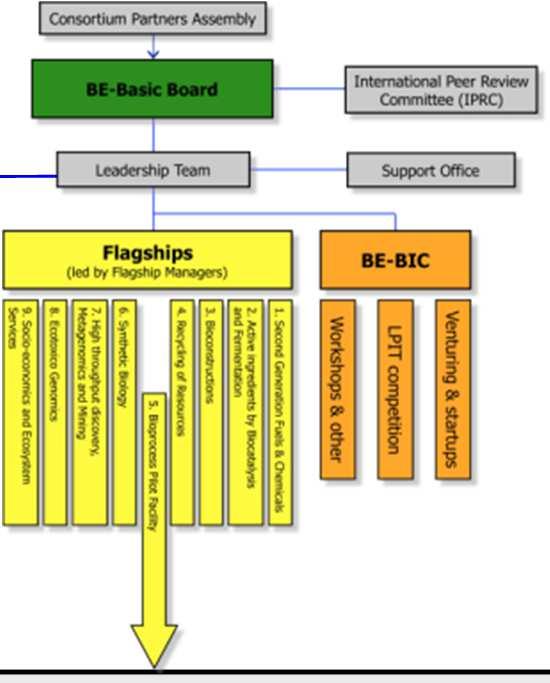Governance and legal structure(working model) Legal entity "BV", shareholders, mixed group of clients, uniform tariffs BE-Basic organisation