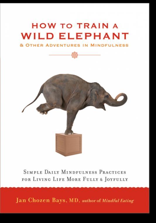 To begin or enhance your own practice Use How to Train a Wild Elephant.