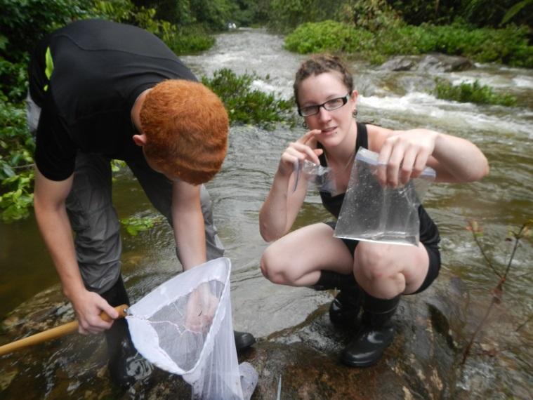 Add $15 Stream Ecology Workshop all day In this workshop you will be wading through the waters of Dry Creek to learn about the creatures that call the stream home.