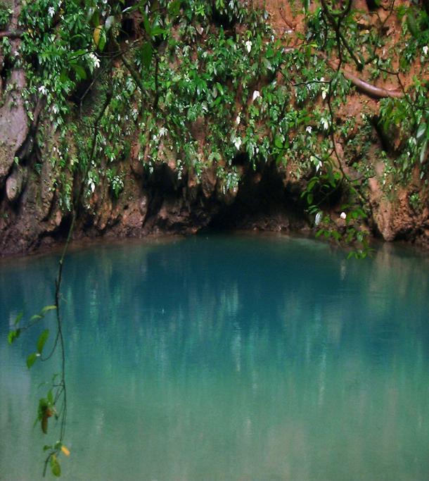 These parks is full of protected wildlife (including the Jaguar and the Tapir also known as the Mountain Cow) and get the chance to see the vast cave