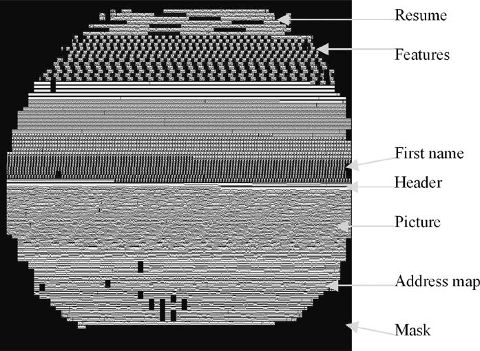 Fig. 26. Example of correlation field captured by Kodak CCD camera; 100 holograms are recorded. Fig. 27. An example bitmap image from the demo database.
