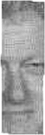 Each database field has a fixed position in the bitmap image. The holographic image contains personal information of a person stored in the database.