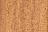 Hardwoods Teak Generic specific name: Tectona grandis Geographical area: Asia, Central Africa & Central America Durability: very durable Appearance: golden brown darkening to
