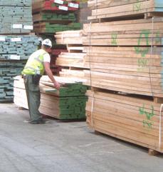 Selected Sawn Your selected sawn orders are hand-picked by our skilled staff, some with over 30 years experience in the timber industry.