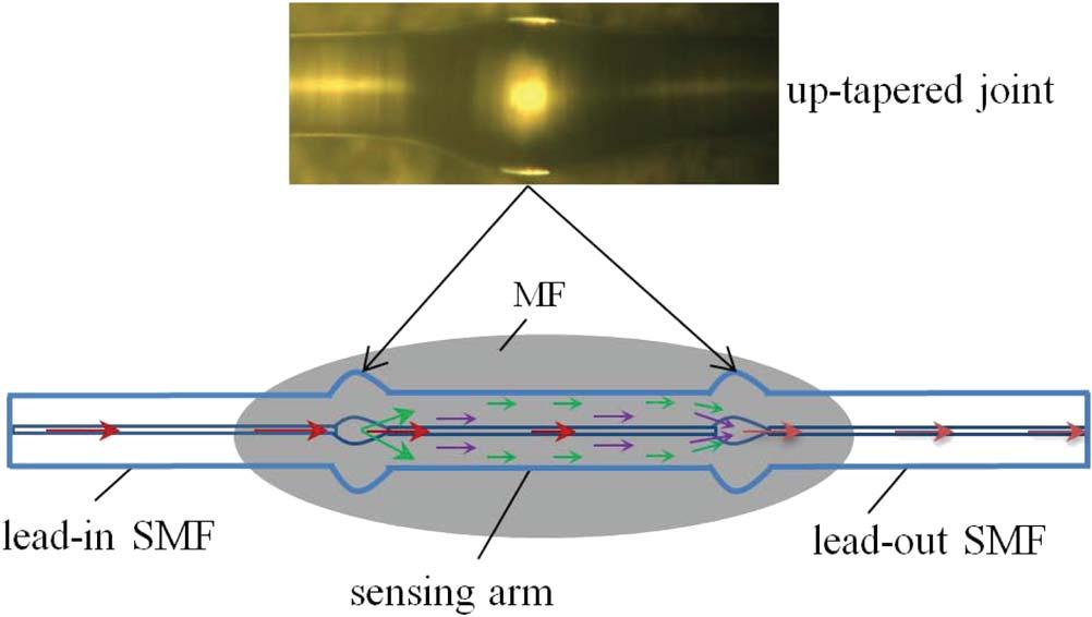 Fig. 1. Schematic diagram of the proposed sensing structure. The upper panel shows the microscopic image of the up-tapered joint. singlemode fiber (SMF) Michelson interferometer [17]).