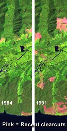 With Remote Sensing A satellite can acquire repeated views of the same area and computers can accurately show what has changed between acquisitions.