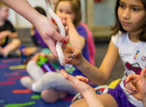 16 SUMMER CAMP IN CHAPEL HILL Camps for Preschoolers & Kindergarteners Animals in Motion Week of: July 11, July 25 This camp will use your child s curiosity to fuel a week-long