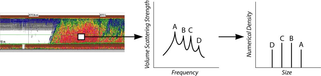 Resonance classification using broadband acoustics Swimbladder Resonance One Fish Broadband Scattering dominated by