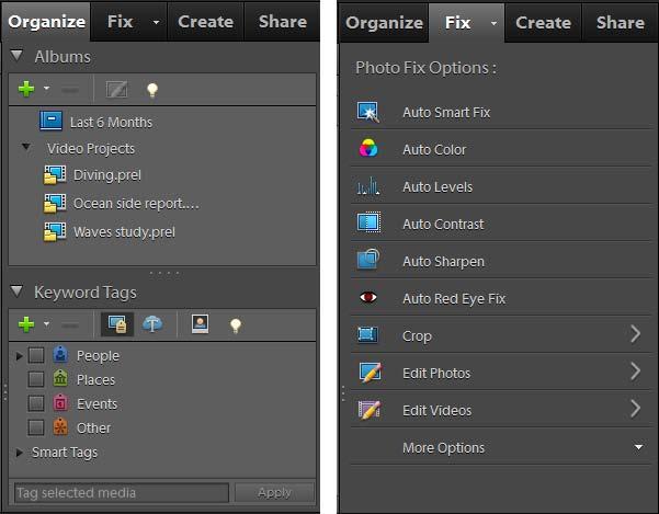 Using the Task pane in the Organizer You can perform a number of quick tasks in the Organizer without opening either Premiere Elements or Photoshop Elements.