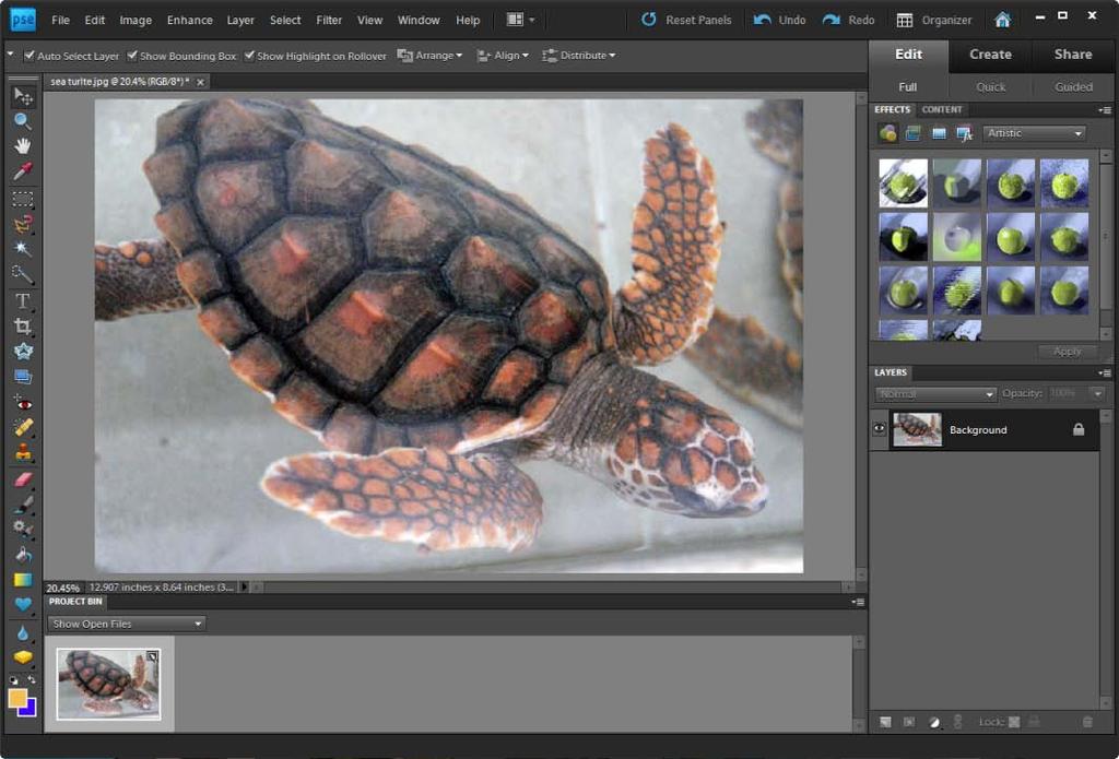 Photoshop Elements Editor workspace The Photoshop Elements Editor is the second option in the Welcome page.