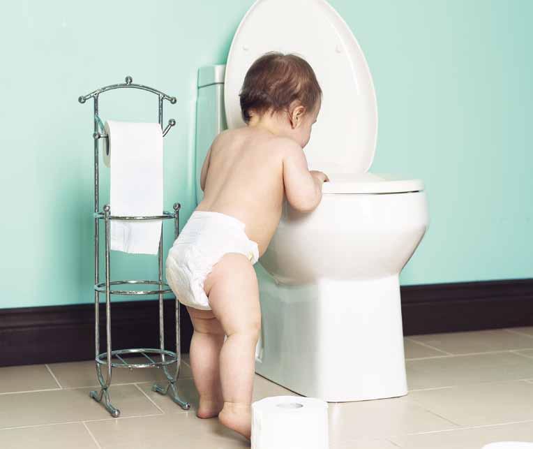 II. Modification of Fibre Dimensions Short Cut for Flushable Wipes Flushable wipes have already secured a significant share of the market for hygiene products; moist toilet tissue and toddler