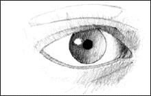 The clear cornea may cause the side of the iris opposite the light source to appear lighter.