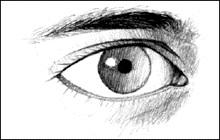 eye, such as the upper and lower lids.