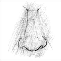 2 Sketch the sides as well as part of the brows that intersect at the eye line. Sketch two lines at the bottom for the placement of the nostrils.