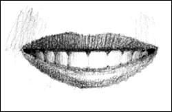 3 Develop the Lips and Teeth Develop the shape of the lips. Add lines for teeth and gums. Erase unwanted marks. 4 Start Shading Start shading with lighter values.