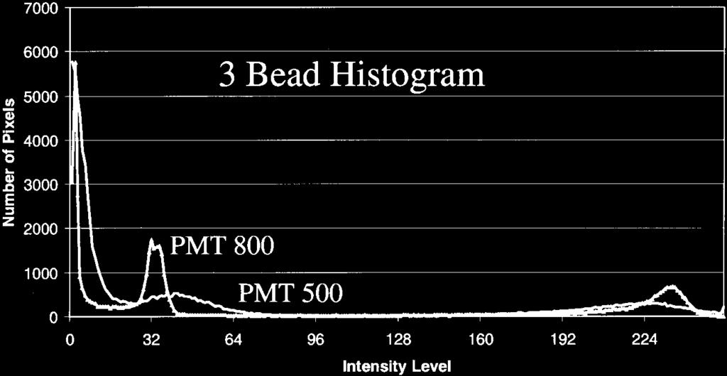 CLSM IMAGE STATISTICS 299 FIG. 2. Two images of three intensity beads were acquired with PMT voltages of 500 and 800.