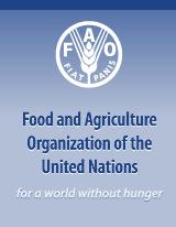 Conducting of Agricultural Censuses and Surveys [ ] FAO Home Economic and Social Development Department Statistics Division Home FAOSTAT Other Statistics World Programme for the Census of 2010