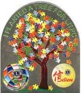 2011-2012 Plant a Tree Pin 2011 2011 Silver Pride Pins Multi Color Pride Pin For Completing 13