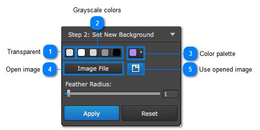 Transparent: If you want to keep a transparent background, choose the 'transparency' icon to the left of the color palettes.