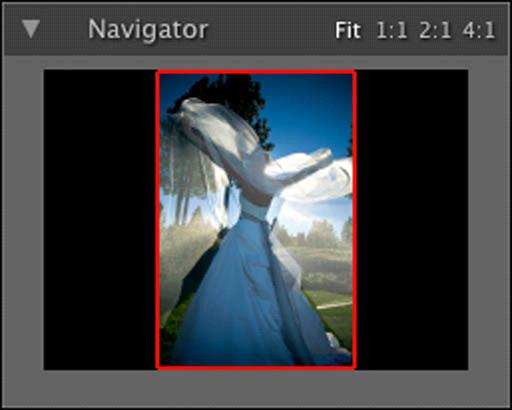 Getting Started. 17 Home > Getting Started > Navigating the Preview Navigating the Preview PhotoTools provides a number of easy ways to navigate and view your image in the Preview window.