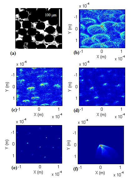 Fig. 3. Images of 40 μm diameter silica beads. Observation (a) with classical bright field microscope; (b), (c), (e), (f) with LOFI-based microscope.
