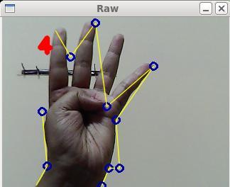 in the all figures shows the convex hull of hand image.