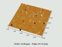 Coatings Baking Finished Surface Topography image Phase image Potential image The top part of one toner particle was observed at
