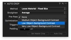 The Pre-Pass option helps the crop tool to better distinguish between the subject and the background if the difference is very small.