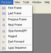 5.19. Playback Menu The Playback menu displays when file images are open. When the program is in Camera mode, access the Playback menu through the Camera Option on the main toolbar.